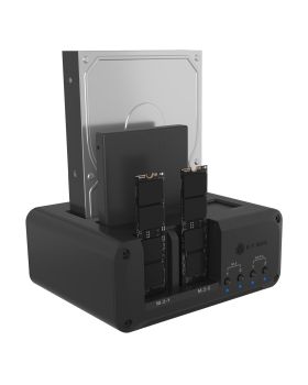 ICY-Box IB-2925MS-CU31