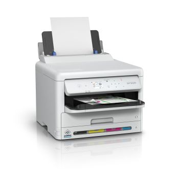 Epson C11CK25401BM