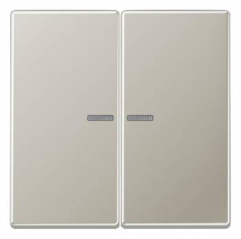 Jung ES2995KO5