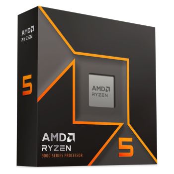 AMD 100-100001405WOF