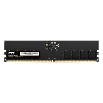 Klevv KD5BGUA80-56G460A