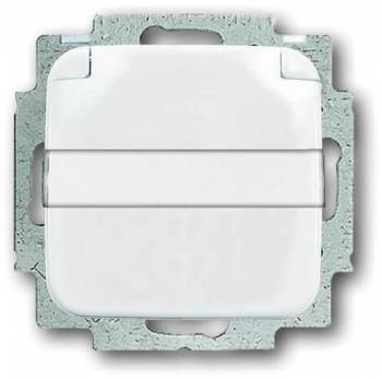 Busch Jaeger 2CKA002013A5318