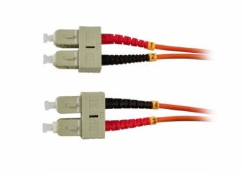 Synergy 21 S216254