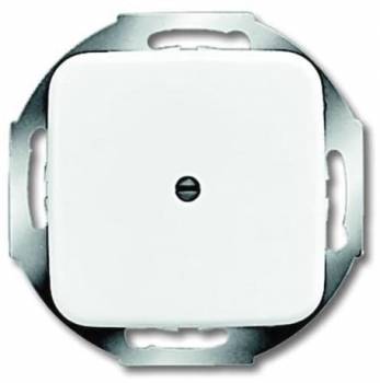 Busch Jaeger 2CKA001710A0110