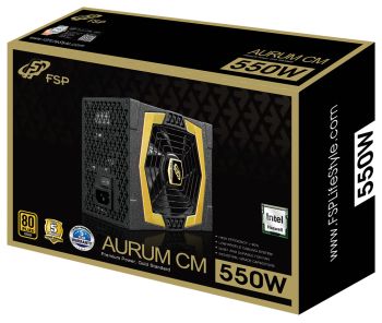 Fortron PPA5501610