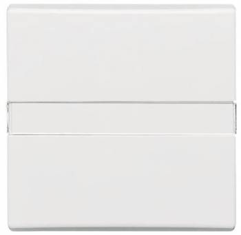 Busch Jaeger 2CKA001731A1643