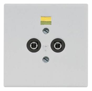 Jung LS965-2LG