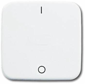 Busch Jaeger 2CKA001731A0884