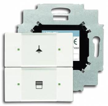 Busch Jaeger 2CKA006116A0181