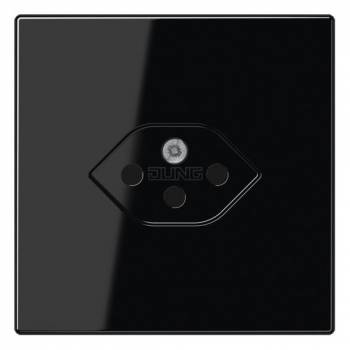 Jung LS1520-13SEVSW