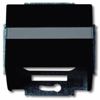 Busch Jaeger 2CKA001724A4299