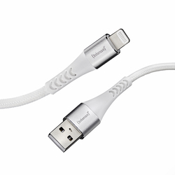 Intenso International 7902102