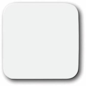 Busch Jaeger 2CKA001731A0876