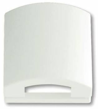 Busch Jaeger 2CKA001710A3876