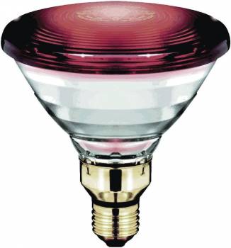 Philips 12887415