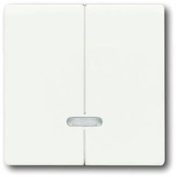 Busch Jaeger 2CKA006599A2964