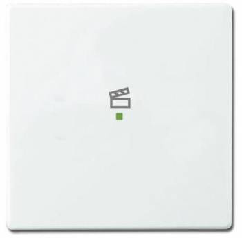 Busch Jaeger 2CKA006220A0043