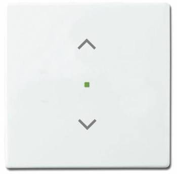 Busch Jaeger 2CKA006220A0040