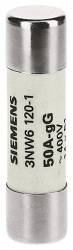 Siemens 3NW61031