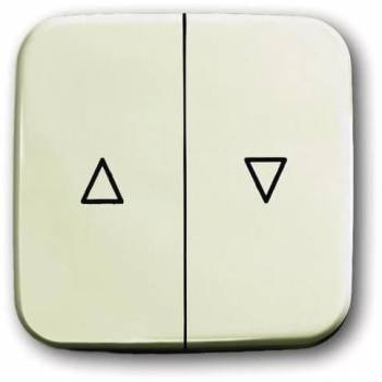 Busch Jaeger 2CKA001713A0155