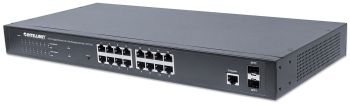 Intellinet 561341