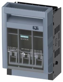 Siemens 3NP11231CA20