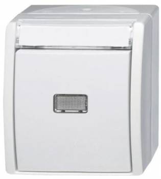 Busch Jaeger 2CKA001484A0378