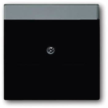 Busch Jaeger 2CKA001710A3910