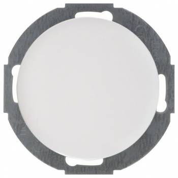 Berker 10092079