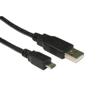 Zebra P1020190