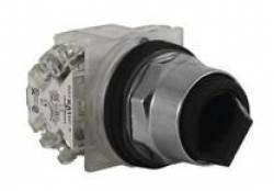 Schneider Electric 9001KS11BH2