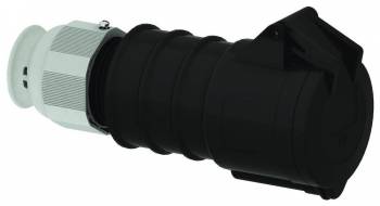 BALS 310508