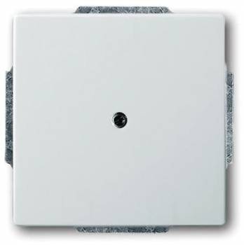 Busch Jaeger 2CKA001710A3751