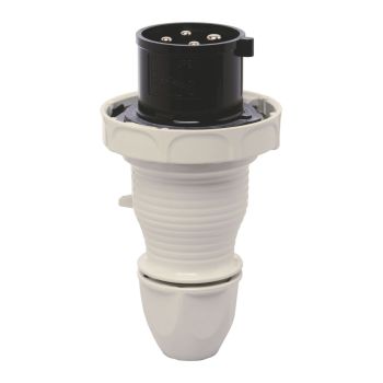 Walther-Werke 239407