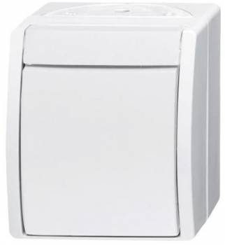 Busch Jaeger 2CKA001484A0380
