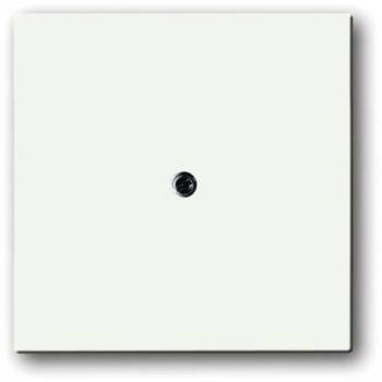 Busch Jaeger 2CKA001710A3874