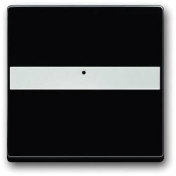 Busch Jaeger 2CKA001731A1552