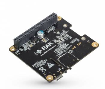 RAK Wireless 610003