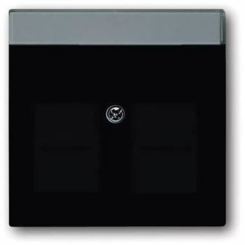 Busch Jaeger 2CKA001710A3627