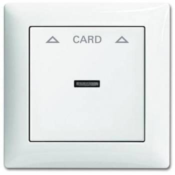 Busch Jaeger 2CKA001710A4067