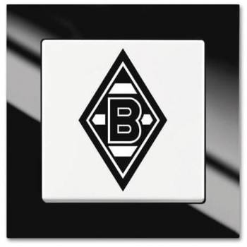 Busch Jaeger 2CKA001012A2205