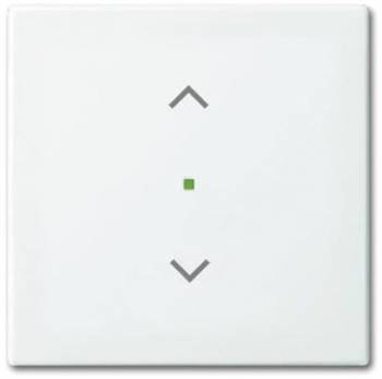 Busch Jaeger 2CKA006220A0357