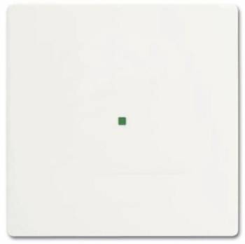 Busch Jaeger 2CKA006220A0481