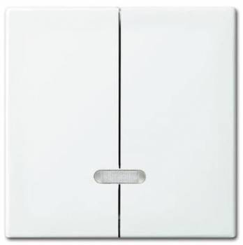 Busch Jaeger 2CKA006599A3019