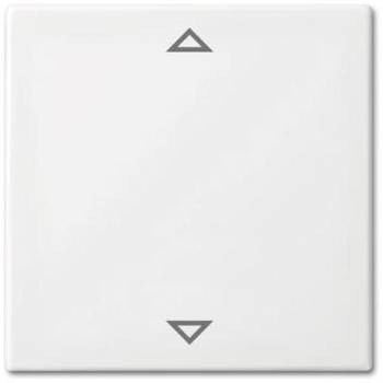 Busch Jaeger 2CKA006430A0403
