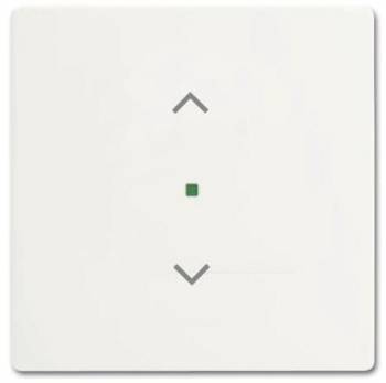 Busch Jaeger 2CKA006220A0483