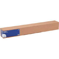 Epson C13S042013