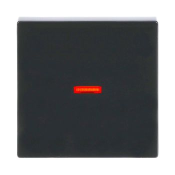 Busch Jaeger 2CKA001751A2928