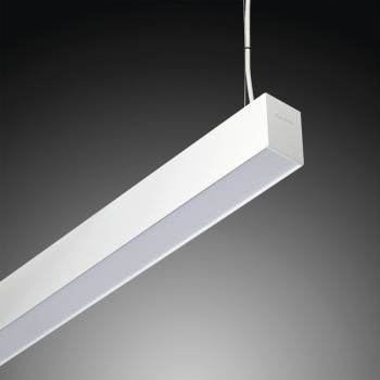 LAMP 110031883