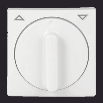 Busch Jaeger 2CKA001753A0231